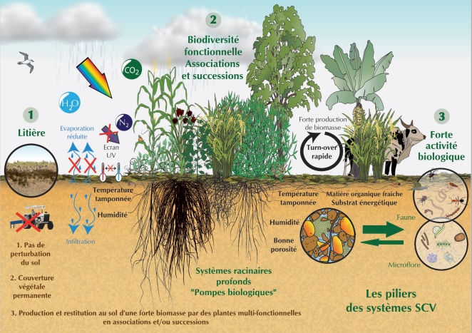 CUAM s’engage pour une agriculture socialement et environnementalement responsable !